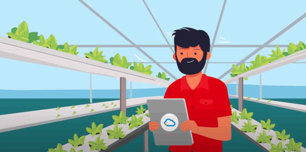 Software contable para agricultura - Hacienda Esquivel optimiza inventario y contabilidad en invernaderos Panamá